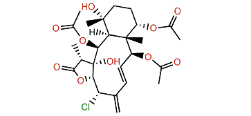 Umbraculolide D